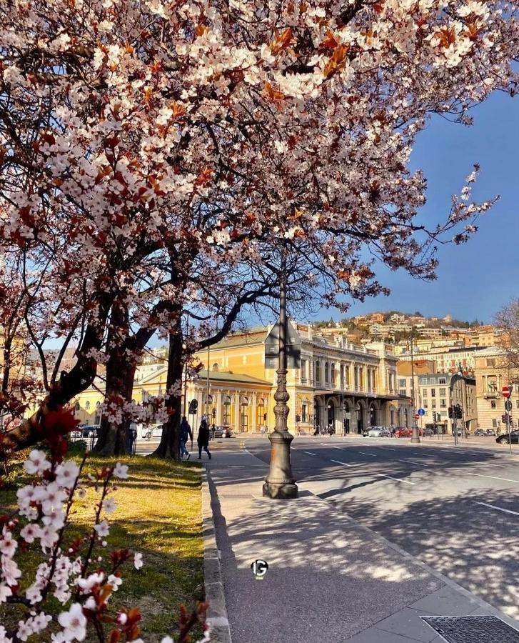 Romantico Nord Est Trieste Luaran gambar